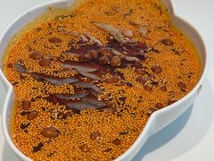 -眉州东坡(民族园店)