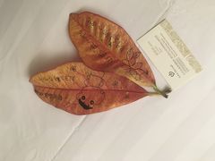 -厦门日月谷温泉渡假村