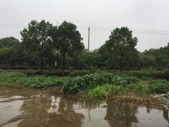 -天目湖刘老四农庄