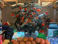 -好灶头妈妈菜·千岛湖柴火鱼餐厅(桐庐店)