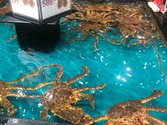 俄罗斯帝王蟹-盒马鲜生(皇庭广场店)