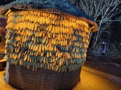 -长春市南湖公园