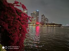 -广州白天鹅宾馆