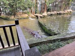 -宁波野生动物园