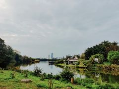 -海珠湖公园