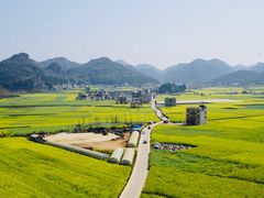 -牛街螺丝田