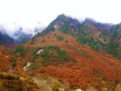 -孟屯河谷景区