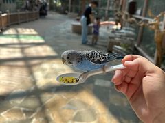 -南宫五洲植物乐园