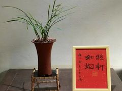 -沧浪亭