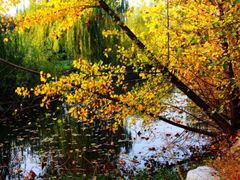 -淇河国家湿地公园