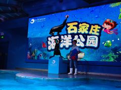 -石家庄海洋公园