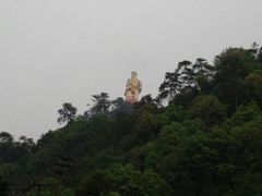 -大金鹰园