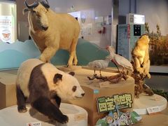 -陕西自然博物馆