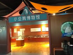 -海合安武汉极地海洋公园