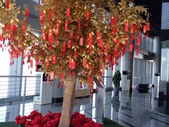 iphone_upload_pic-紫峰大厦