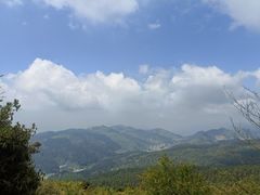 -武陵山森林公园