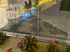 -OUR Bakery(SKP-S店)