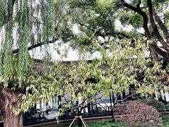 -柳莺湖上·湖景餐厅·江南菜(西湖店)