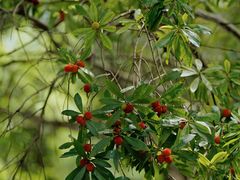 -宝岩生态观光园