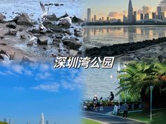 -深圳湾公园(南山区)