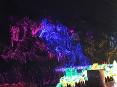 -荣县大佛