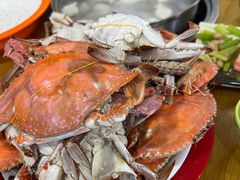 -田记自助海鲜饺子