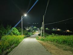 -枸杞岛