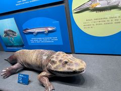 -国家自然博物馆