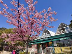 -新江湾城公园