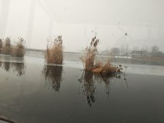 -白洋淀景区