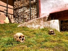 -比如骷髅墙景区