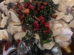 飘香豆花鱼-茶花妹子云南餐厅(北大店)