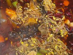 -阆辣荟餐饮(老味道8年·古城店)