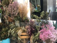 -植物学家的女儿(北马道巷店)