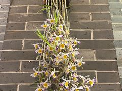 -顺德了能馆(虎门店)