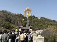 -庐山风景名胜区-东林大佛