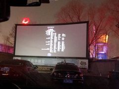 -枫花园汽车电影院(朝阳公园店)