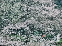 -杭州少年儿童公园