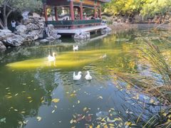 -宣武艺园