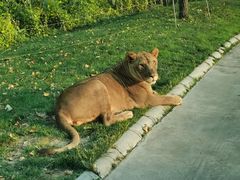 -北京野生动物园