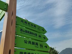 -龙坞茶村