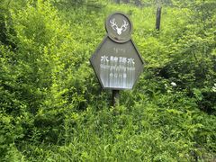 -阿尔山市大兴安岭奥伦布坎景区