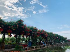 -同銮特种养殖场·龙虾垂钓