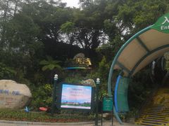 -东部华侨城