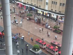 -江边城外烤全鱼(世茂广场店)