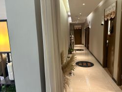 -阅年轻·AI家庭健康体质调理