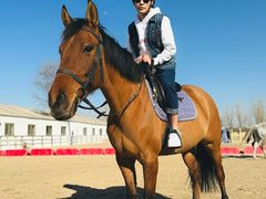 -北京群众马术培训基地