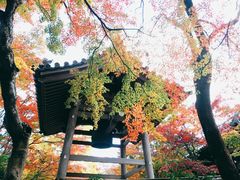 -常寂光寺
