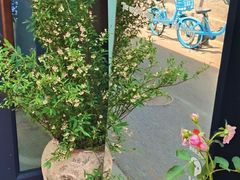-小时光咖啡馆(北锣鼓巷店)