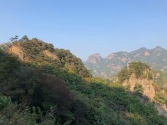 -俊家铁锅炖鱼(地工路店)
